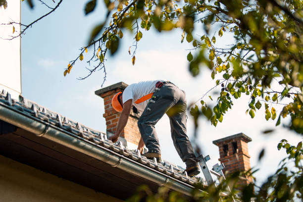 Best Roof Gutter Cleaning  in Rock Hall, MD