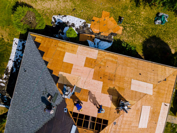 Best Storm Damage Roof Repair  in Rock Hall, MD