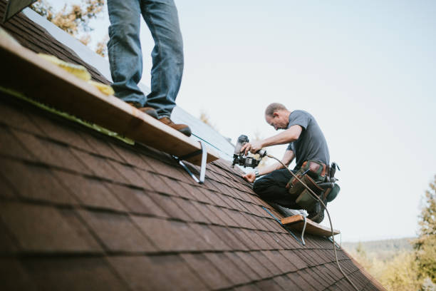 Best Shingle Roofing Installation  in Rock Hall, MD
